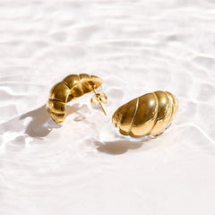 Twist Shell Dome Earrings