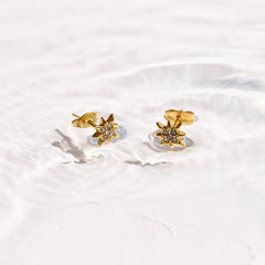 North Star Crystal Studs